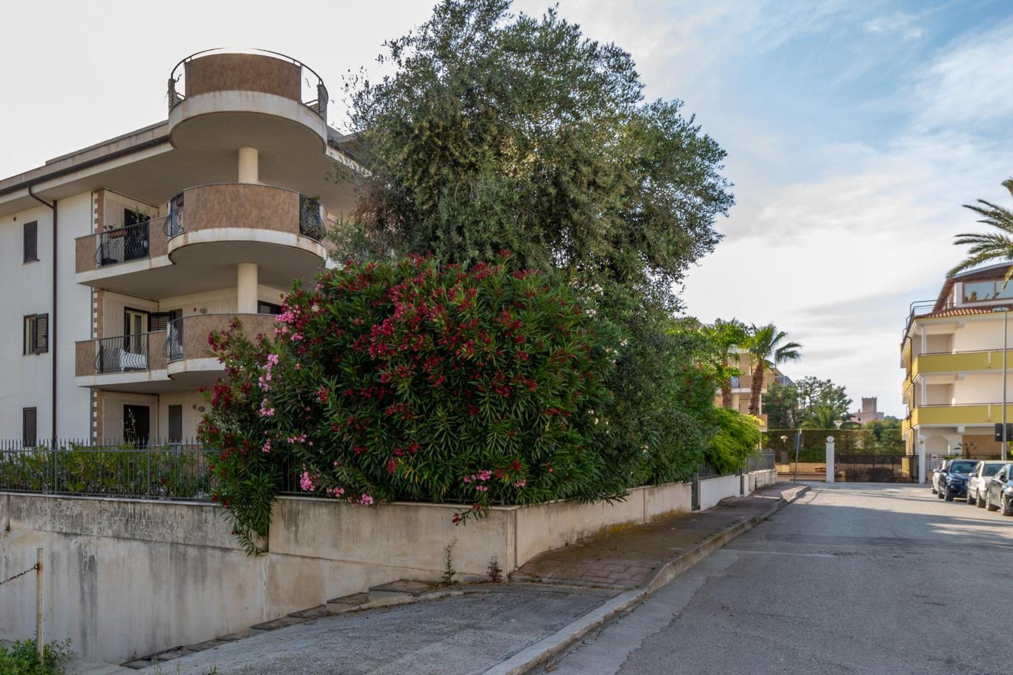 Virna Casa Vacanze Vieste Ngoại thất bức ảnh